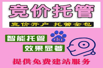 百度竞价运营实战案例分析：提升ROI策略